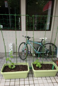武庫之荘のメンズカット理容室バーバーインイチの緑のカーテン